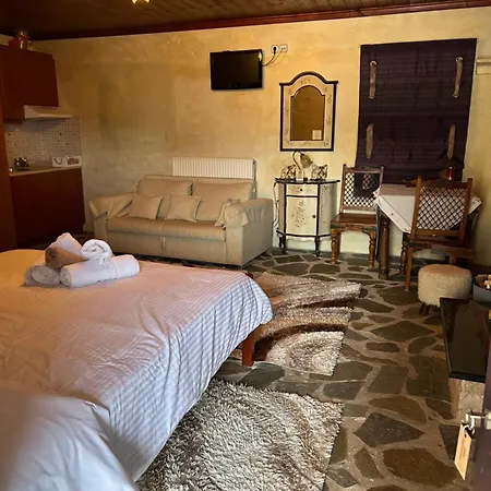 게스트하우스 θόλος 3*